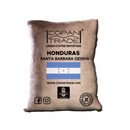 SANTA BARBARA GEISHA (8066559607031) (9514236838135)