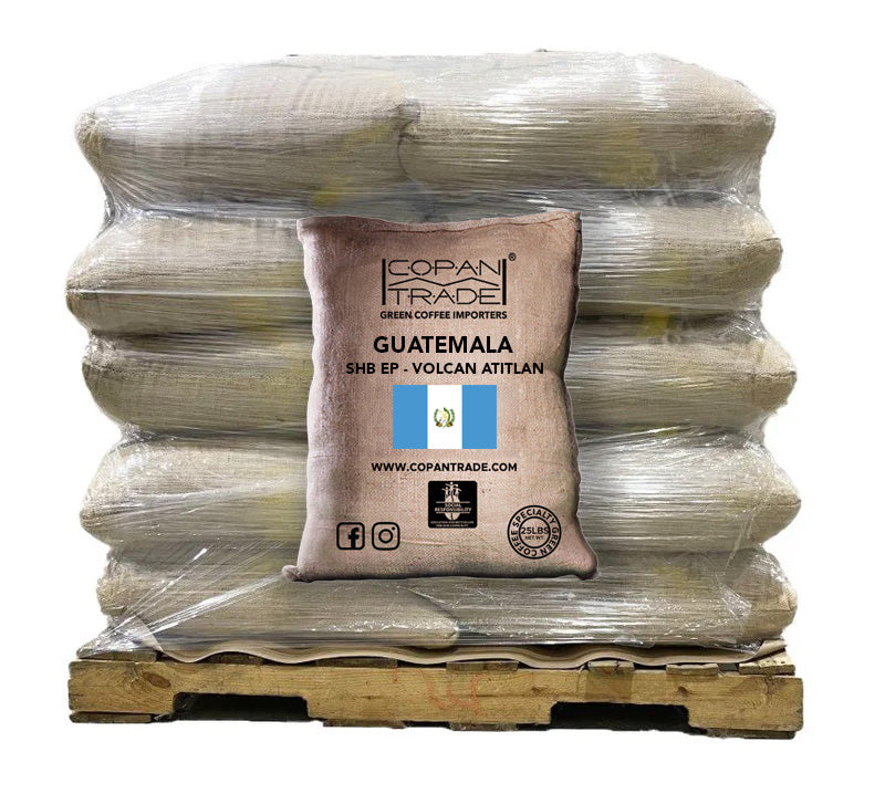 GUATEMALA VOLCAN ATITLAN SHB 6 69KG bags (9740485230839) (9740509839607)