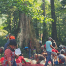 People sorting coffee cherries in a forested area in Honduras.