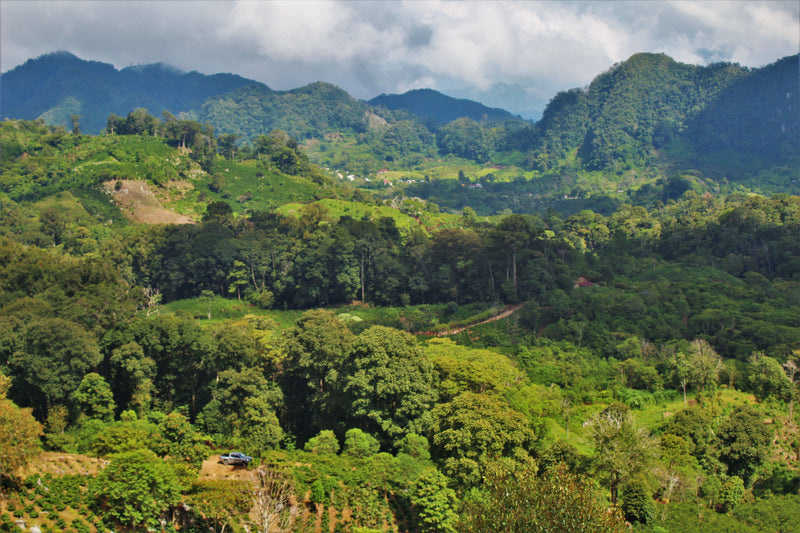 SAN VICENTE NATURAL REGIONAL (9514208035063) (8072877277431) (9514212753655) (9514230874359) (9740509839607)