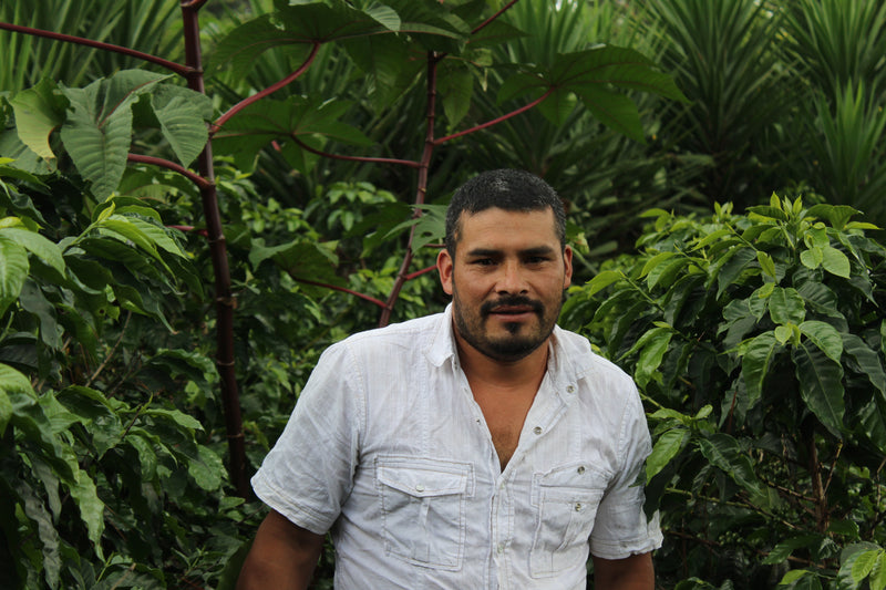 SAN VICENTE NATURAL REGIONAL (9514208035063) (8072877277431) (9514212753655) (9514230874359)