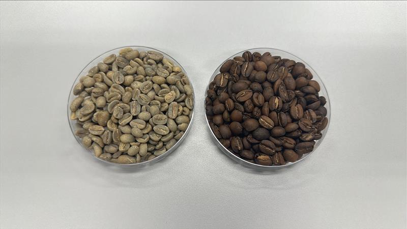 SAN VICENTE GEISHA (9514236838135) (9514250567927)