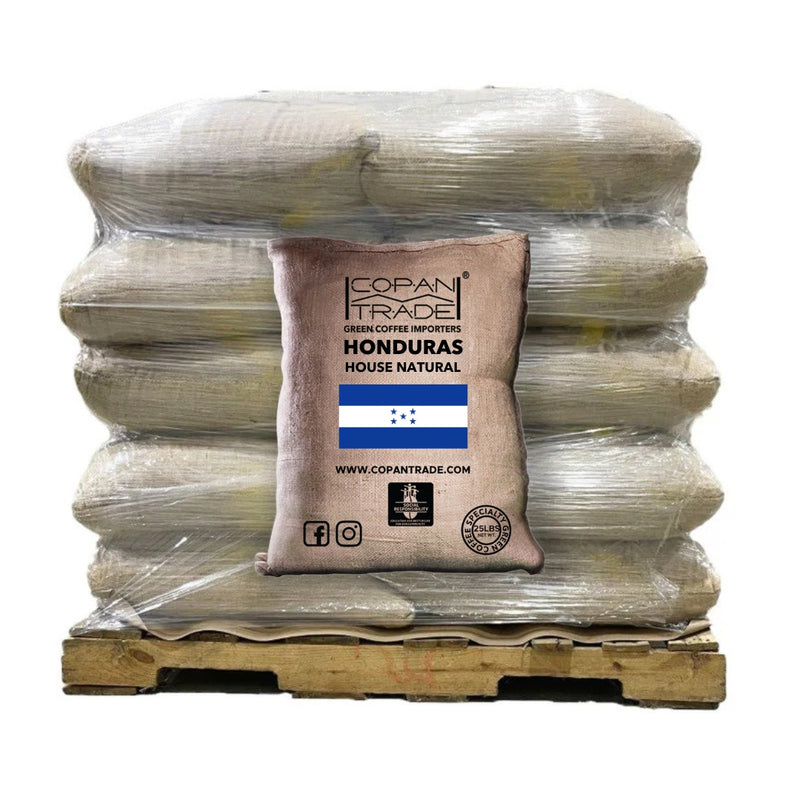 HONDURAS SAN VICENTE HOUSE NATURAL 69KG - 6 Bags (9595856257271)