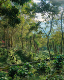 GUATEMALA VOLCAN ATITLAN SHB 6 69KG bags (9740485230839) (9740509839607)