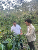 FINCA EL MANZANAL HONEY (5669511168149)