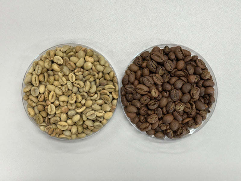 ROBUSTA (5669510971541) (8376895439095)