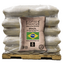 BRAZIL Sítio Serra da Conceição 2/3 FC Sc 14/16 - 60 KG BAGS