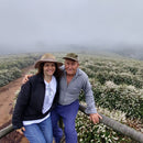 Producers standing in a field of coffee plants flowering in Brazil