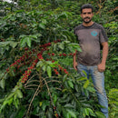 SANTA BARBARA GEISHA (8066559607031) (9514236838135)