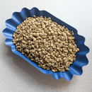 Raw green coffee beans piled in a blue scalloped bowl on a light gray surface.
