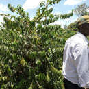 KERICHO AB (8066197356791)