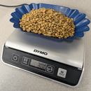 A Dymo digital scale measuring green coffee beans in a blue scalloped bowl on a light gray countertop.